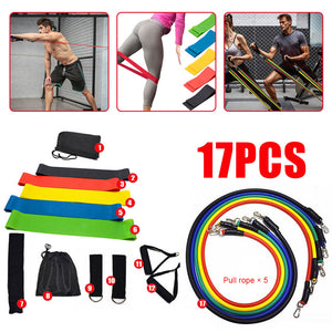 Exercise Resistance Band Training & Stretching Set - 17 Pcs